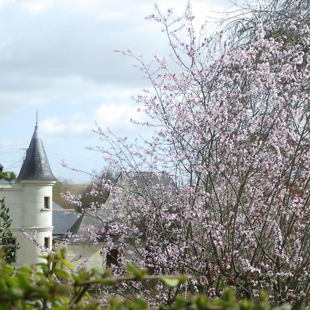 Bed and Breakfast Le Manoir De La Baldette Gennes-Val-de-Loire Exterior foto