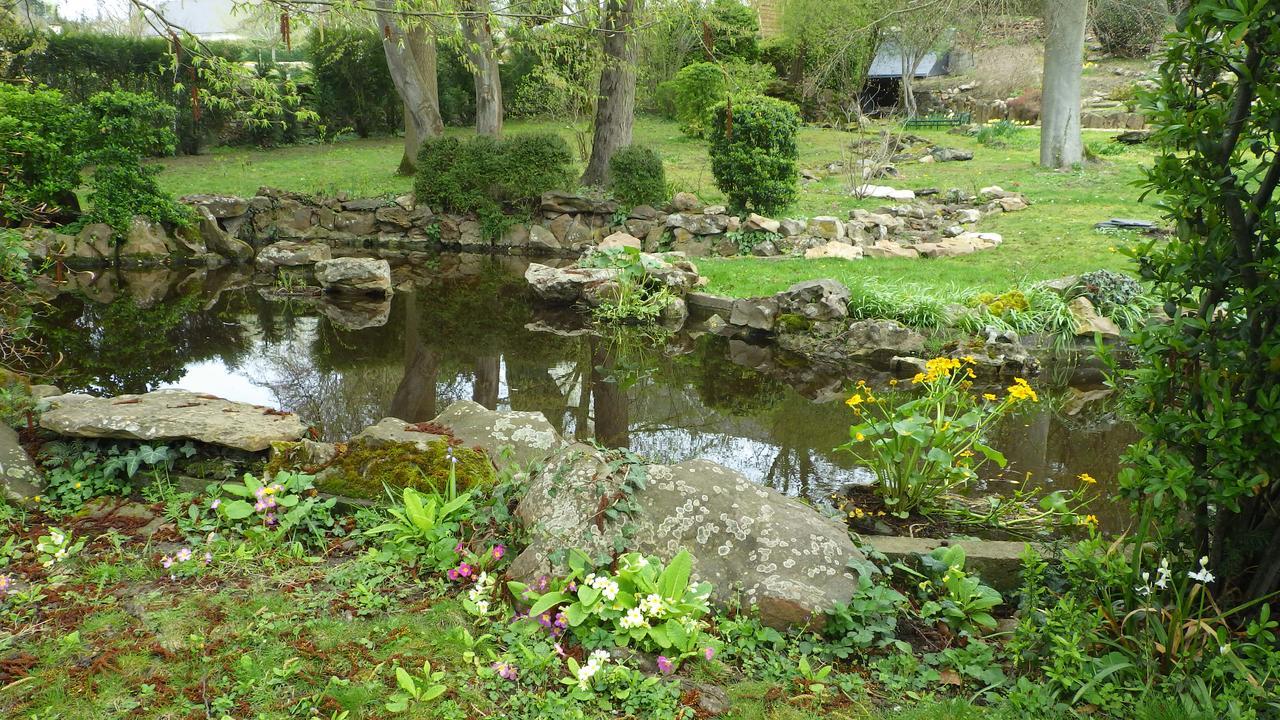Bed and Breakfast Le Manoir De La Baldette Gennes-Val-de-Loire Exterior foto