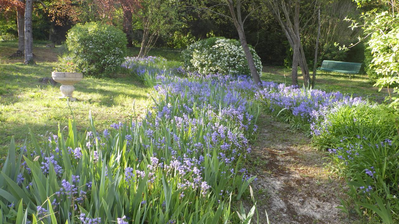 Bed and Breakfast Le Manoir De La Baldette Gennes-Val-de-Loire Exterior foto