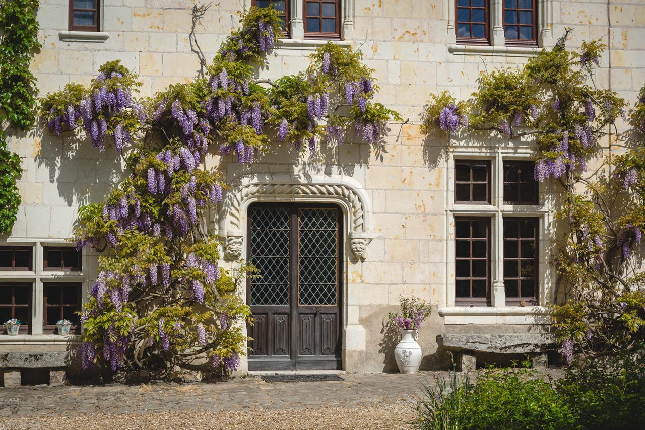 Bed and Breakfast Le Manoir De La Baldette Gennes-Val-de-Loire Exterior foto
