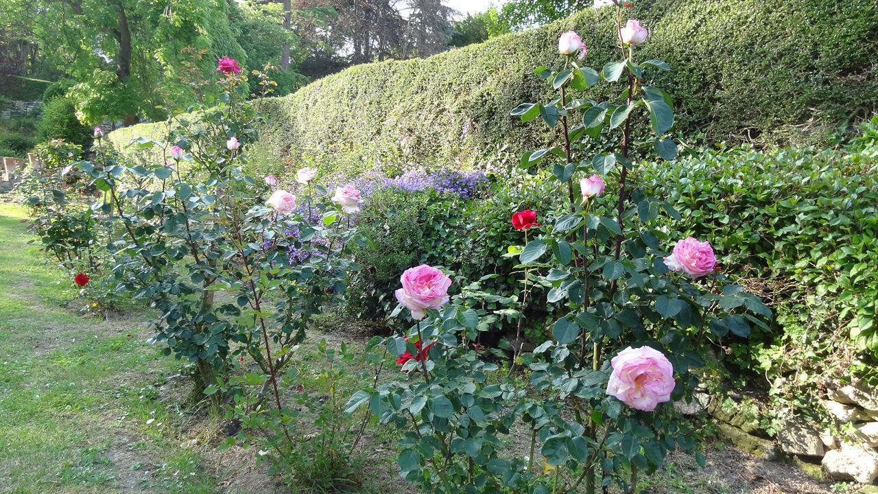 Bed and Breakfast Le Manoir De La Baldette Gennes-Val-de-Loire Exterior foto