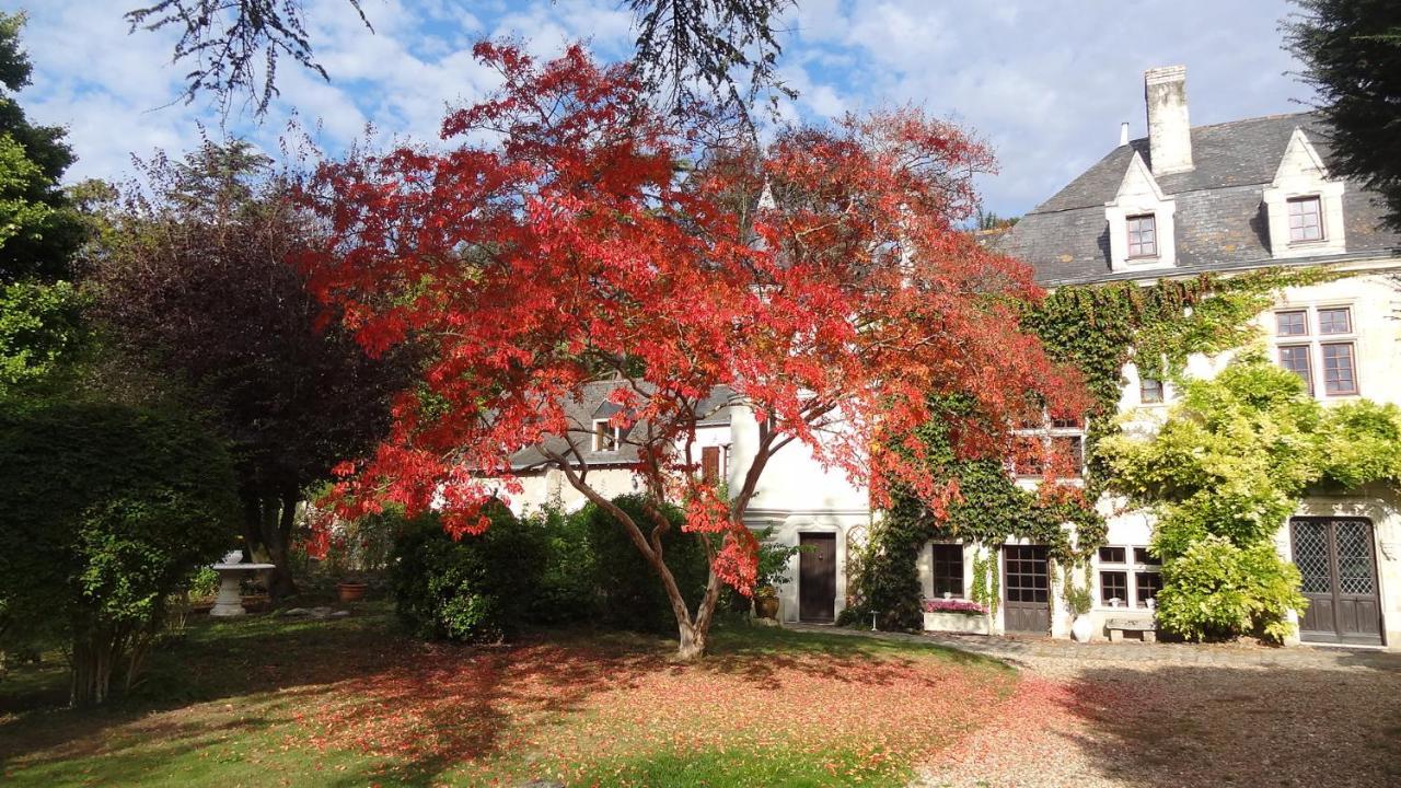 Bed and Breakfast Le Manoir De La Baldette Gennes-Val-de-Loire Exterior foto