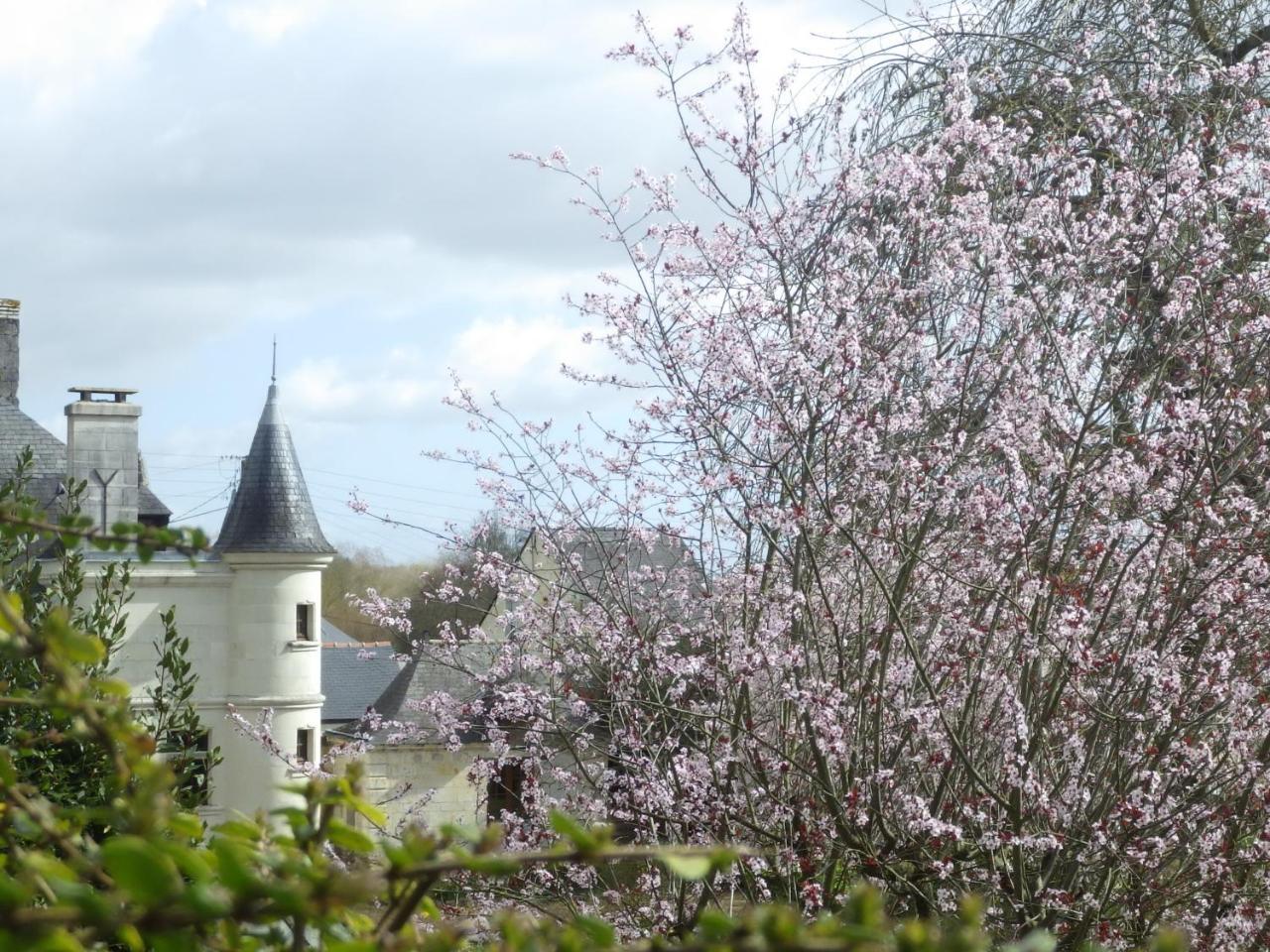 Bed and Breakfast Le Manoir De La Baldette Gennes-Val-de-Loire Exterior foto