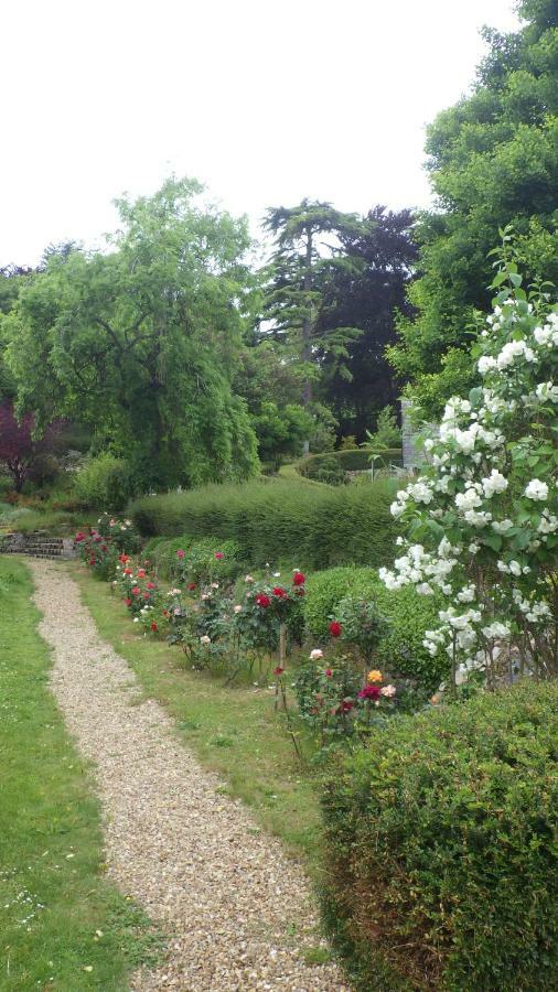 Bed and Breakfast Le Manoir De La Baldette Gennes-Val-de-Loire Exterior foto