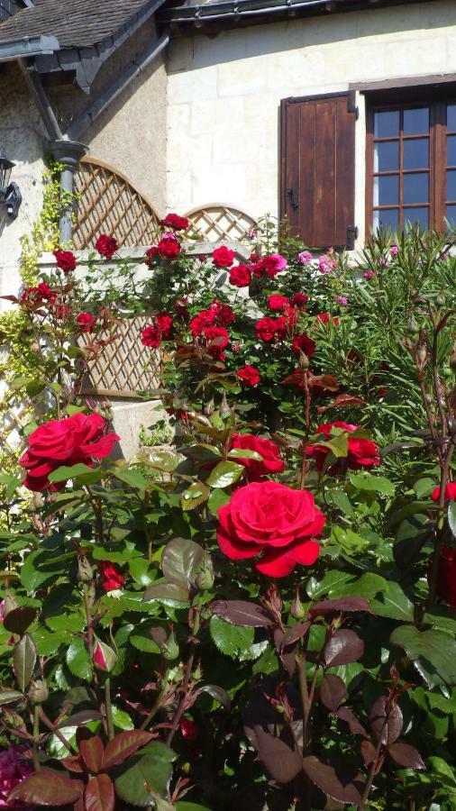 Bed and Breakfast Le Manoir De La Baldette Gennes-Val-de-Loire Exterior foto