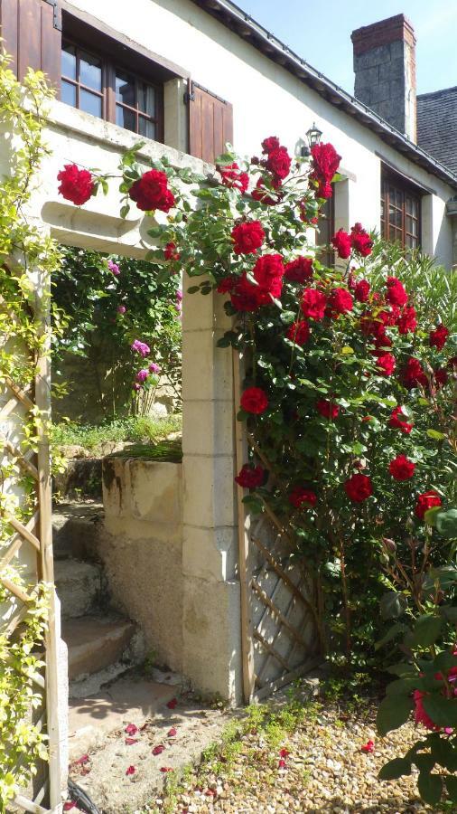 Bed and Breakfast Le Manoir De La Baldette Gennes-Val-de-Loire Exterior foto