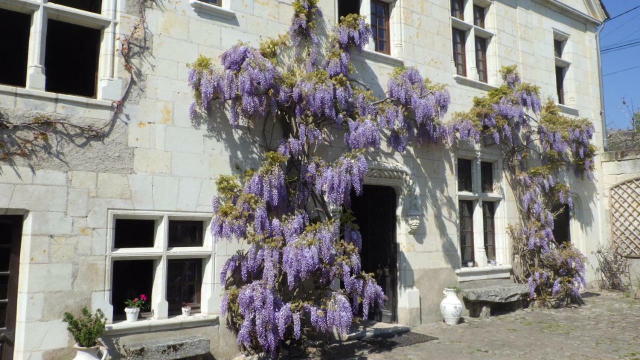 Bed and Breakfast Le Manoir De La Baldette Gennes-Val-de-Loire Exterior foto